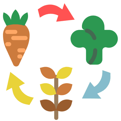 graphic illustration of crop rotation