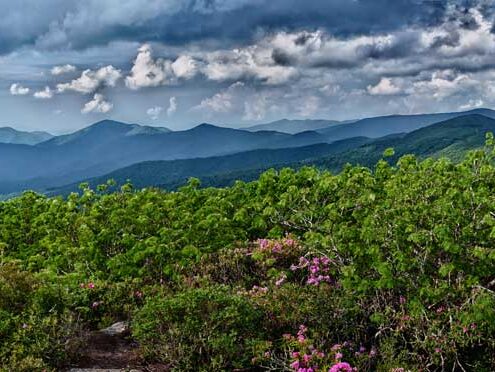 View from Craggy Gardens in Asheville, NC near the Great Smoky Mountains National Park showing the layers of the Appalachian mountains.