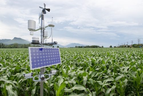 weather station in a corn field