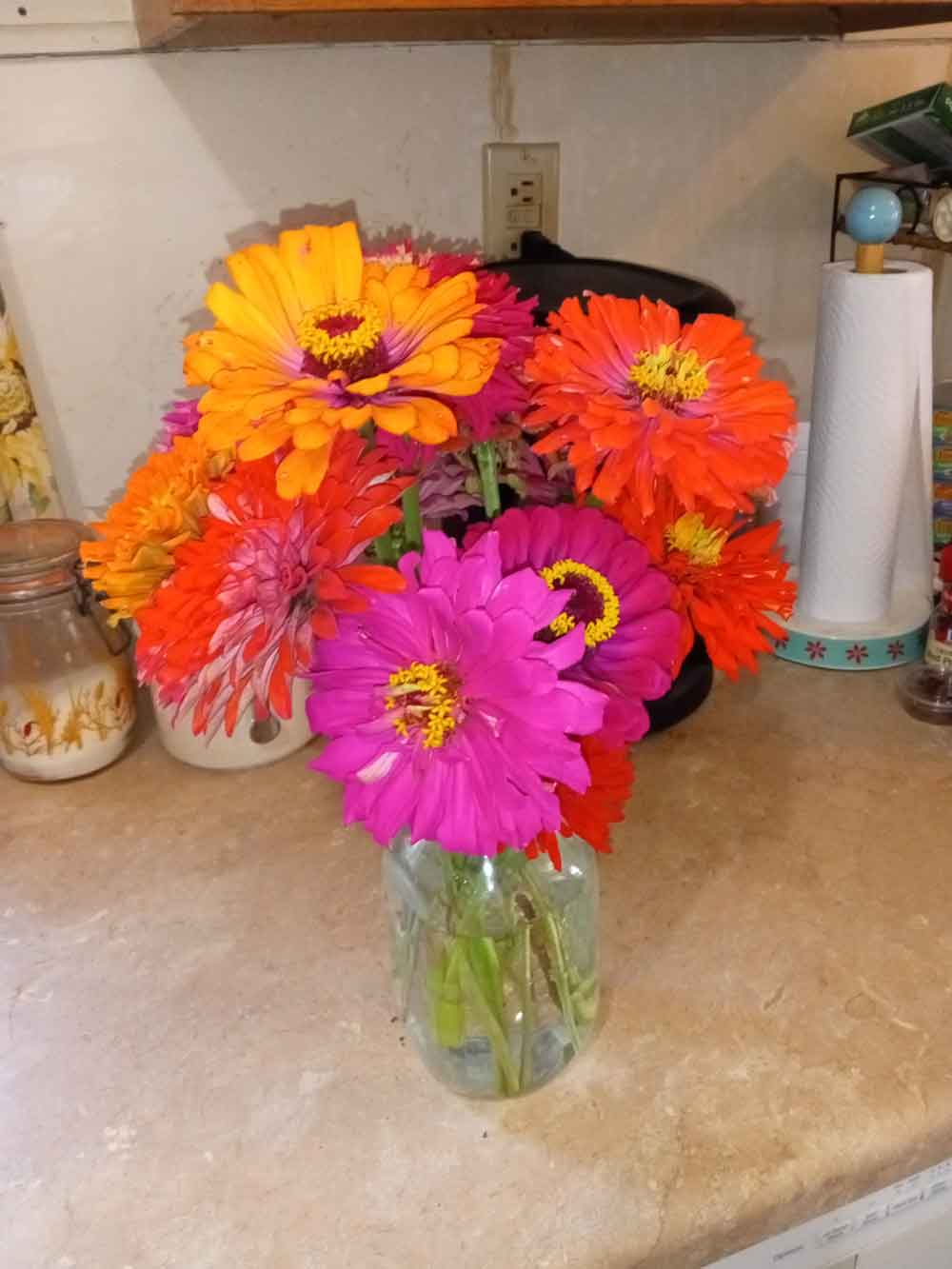 Bouquet of zinnias from my garden