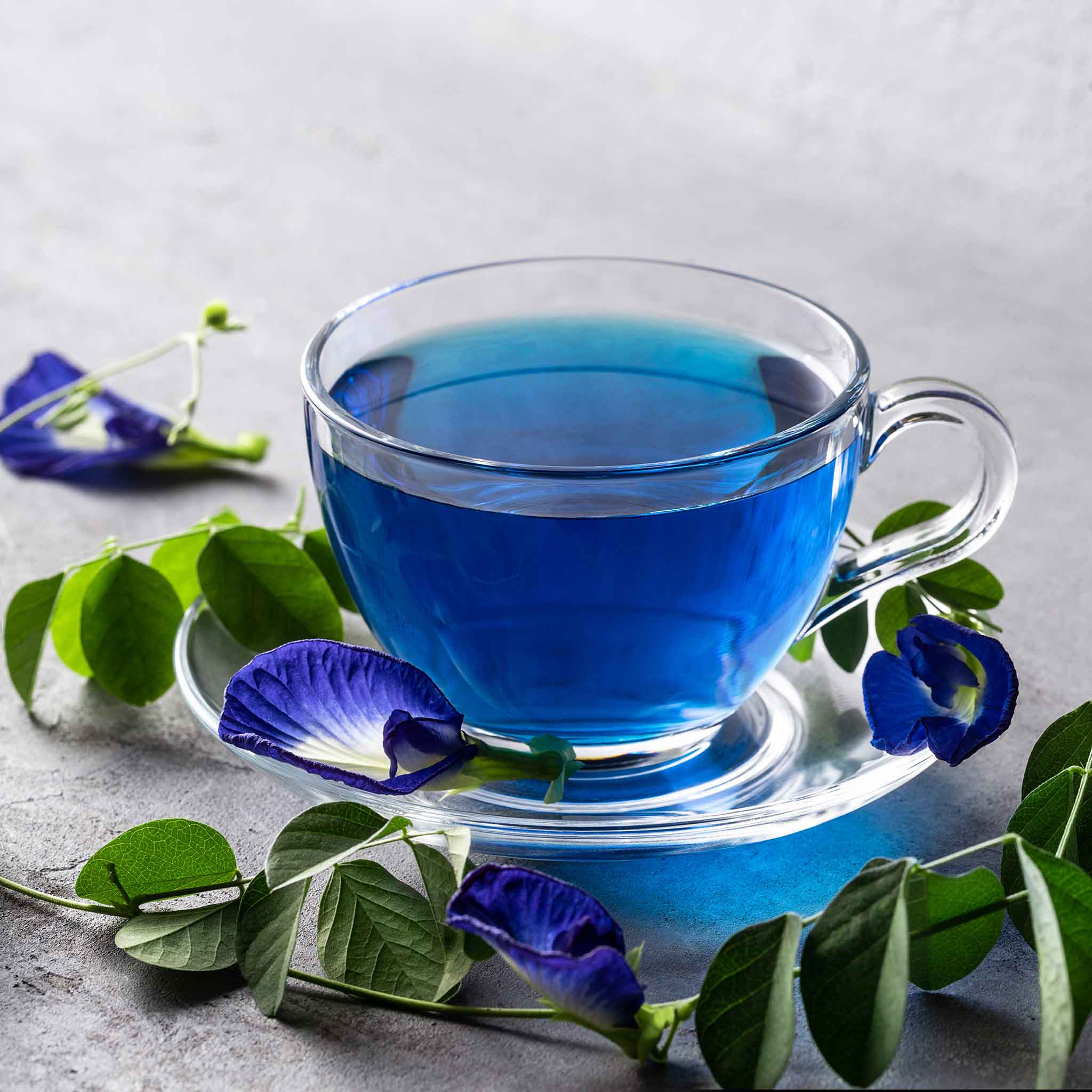 Butterfly Pea