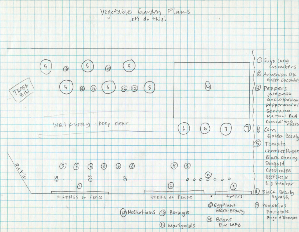 A hand drawn map on grid paper of a garden plan using numbered circles to indicate the location of plants and a key labeling what plant is represented by each circled number.