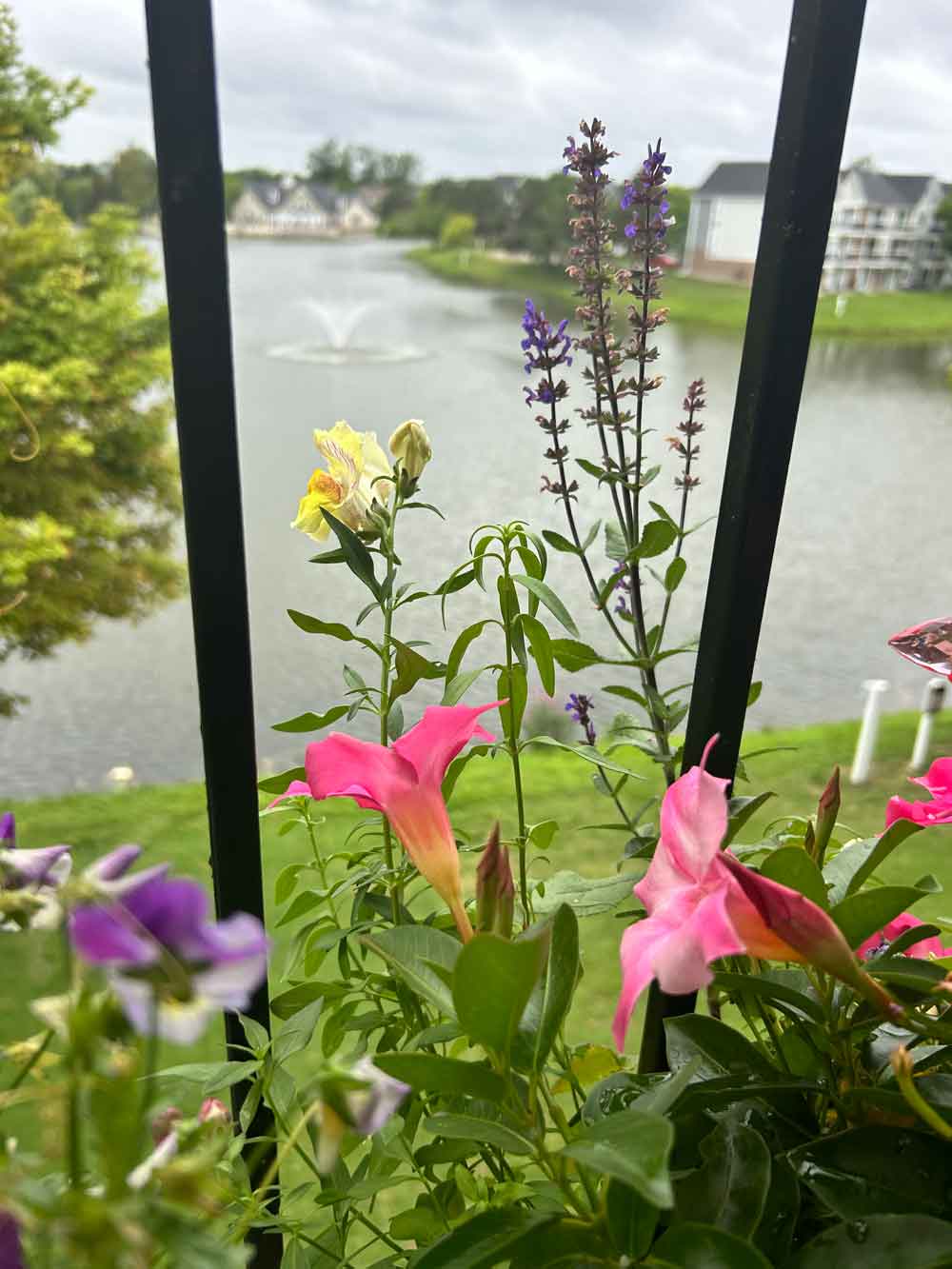 My Michigan Fairy Garden