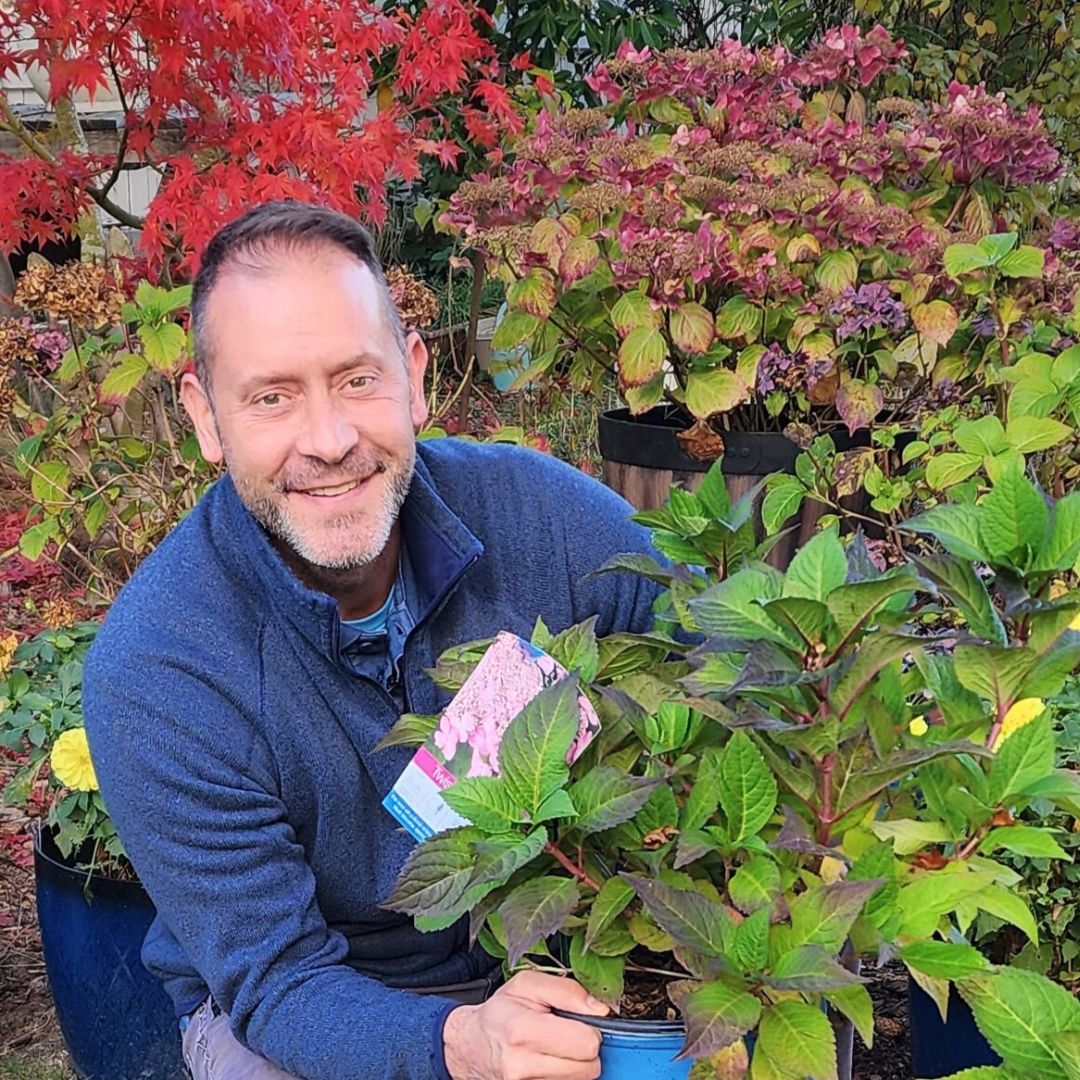 Man crouched by a leafy bush with more red and green bushes behind him