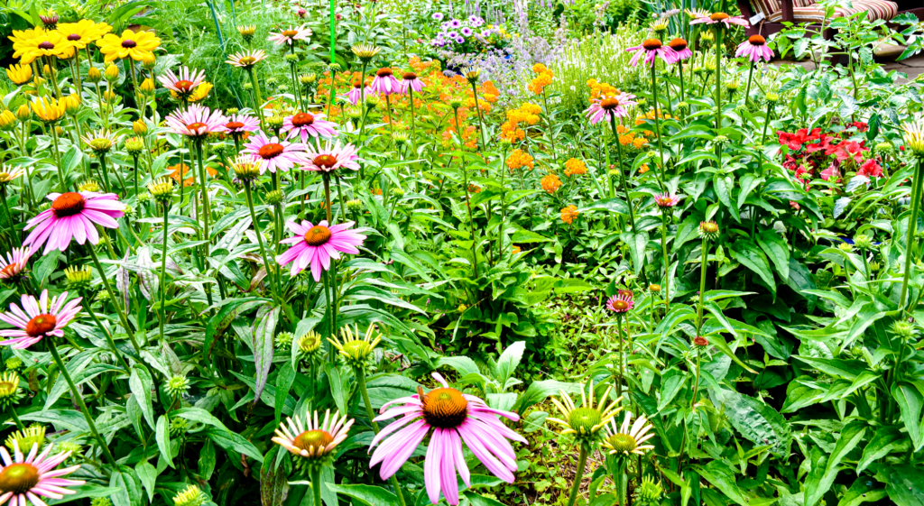 Bright green foliage with purple, yellow, orange, and red wildflowers