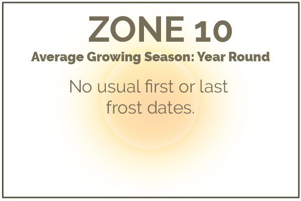 Gardening in Zone 10