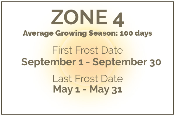 Gardening in Zone 4