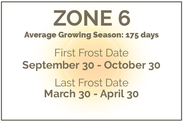 Gardening in Zone 6
