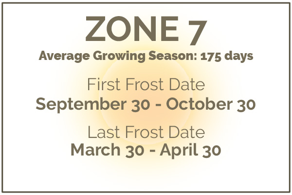 Gardening in Zone 7