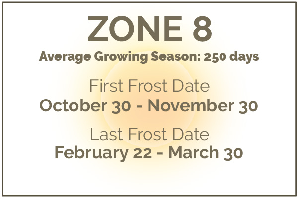 Gardening in Zone 8