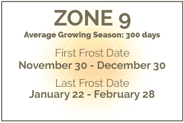 Gardening in Zone 9