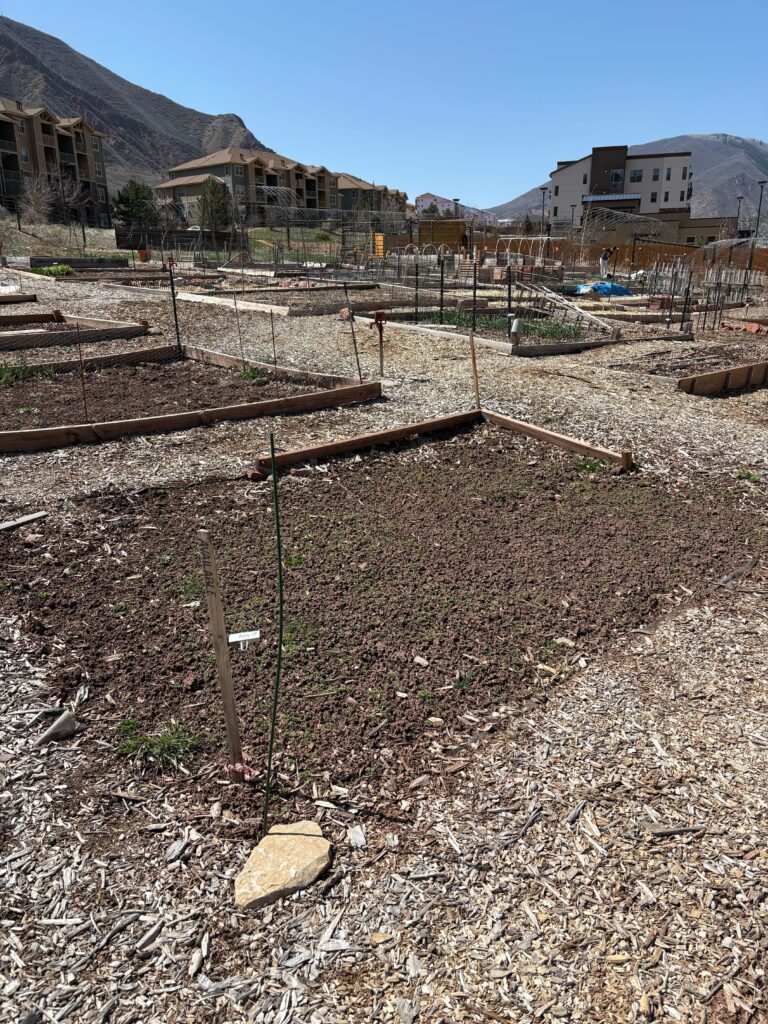 an unfinished garden plot covered in dirt and mulch