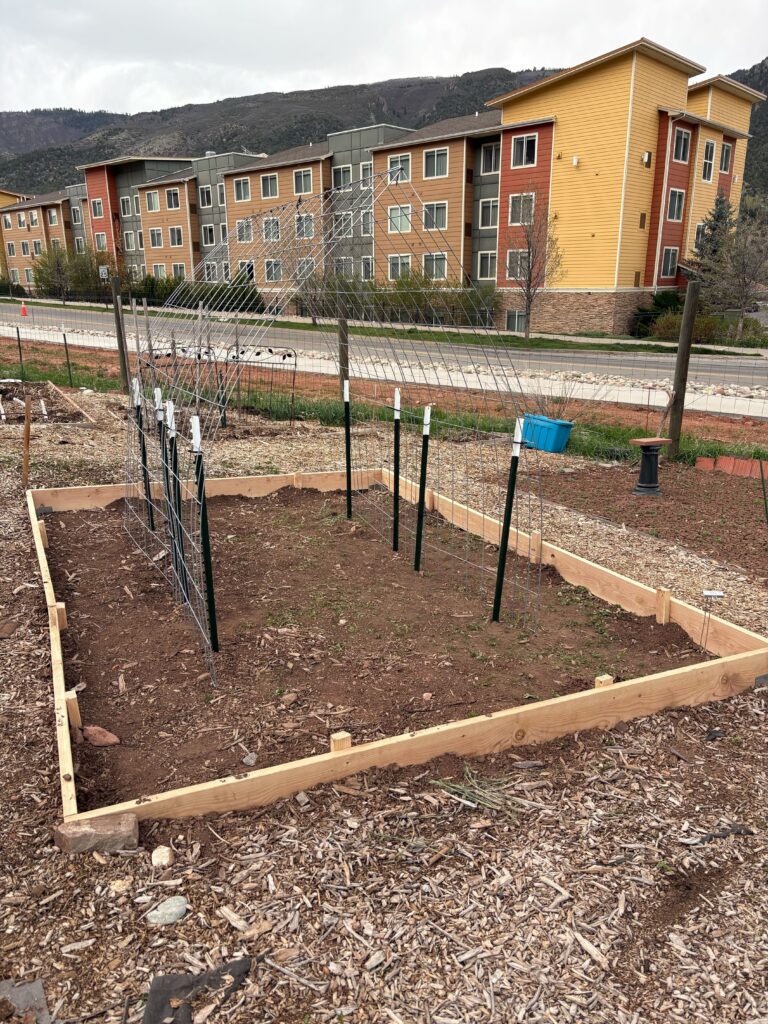 a rectangle garden plot with a wooden border and inside is a wire cattle panel anchored by metal stakes creating a trellis