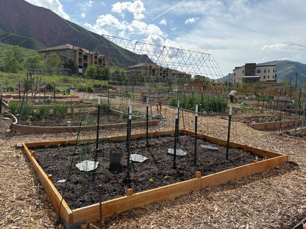 A garden plot with a wooden border and a wire trellis in the middle with stepping stones under the trellis and other garden plots in the background