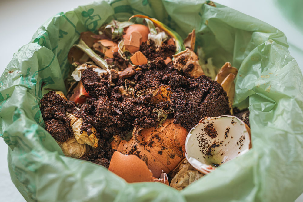 Compost, including coffee grounds and broken egg shells, sitting in the opening of a green plastic bag