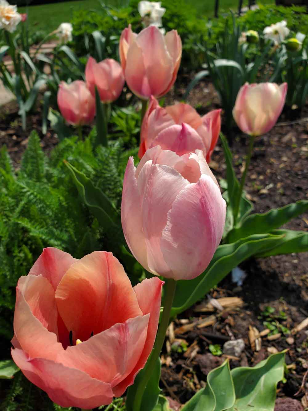 The first warm days of spring