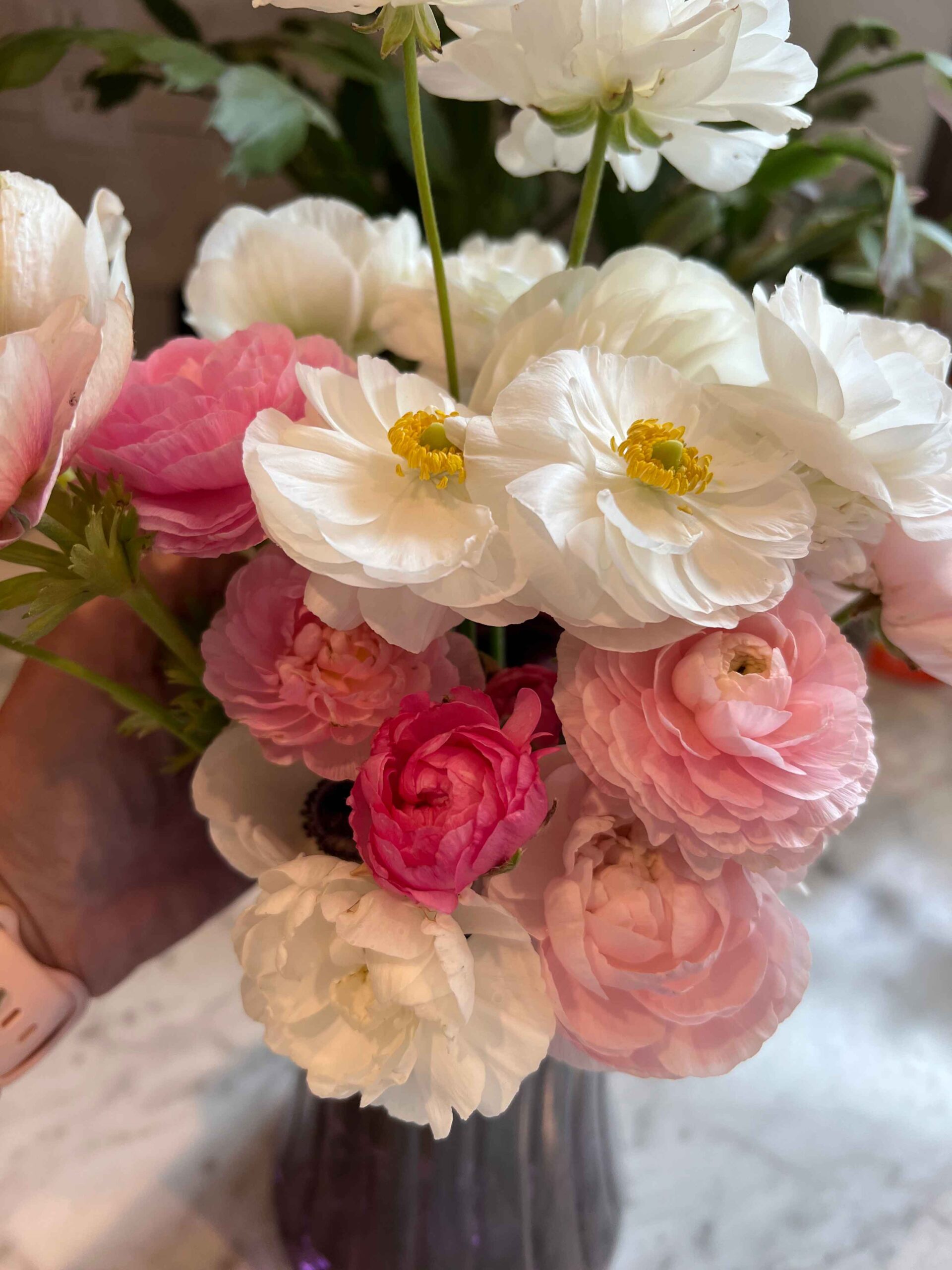 My favorite flower…Ranunculus!
