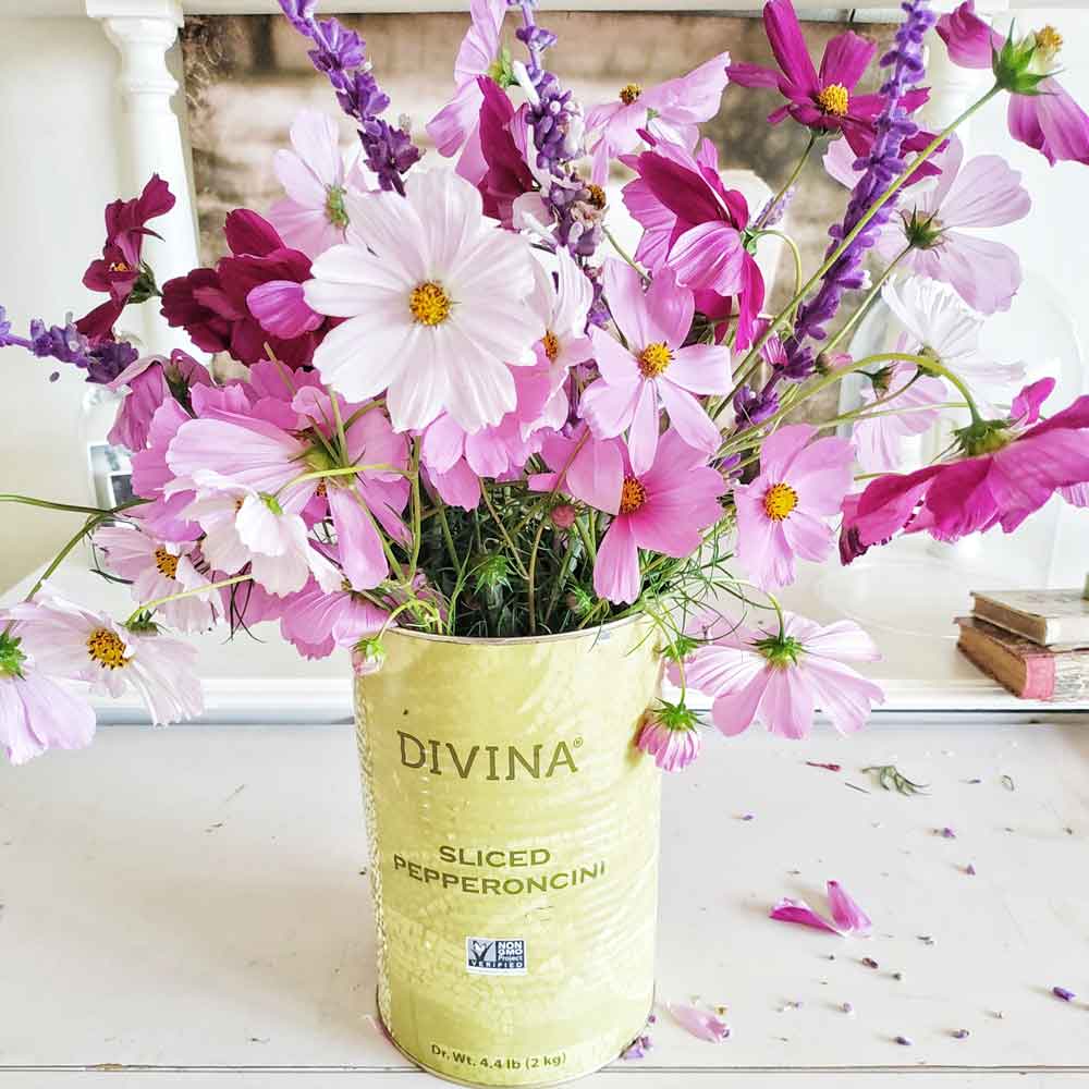 cosmos in vase
