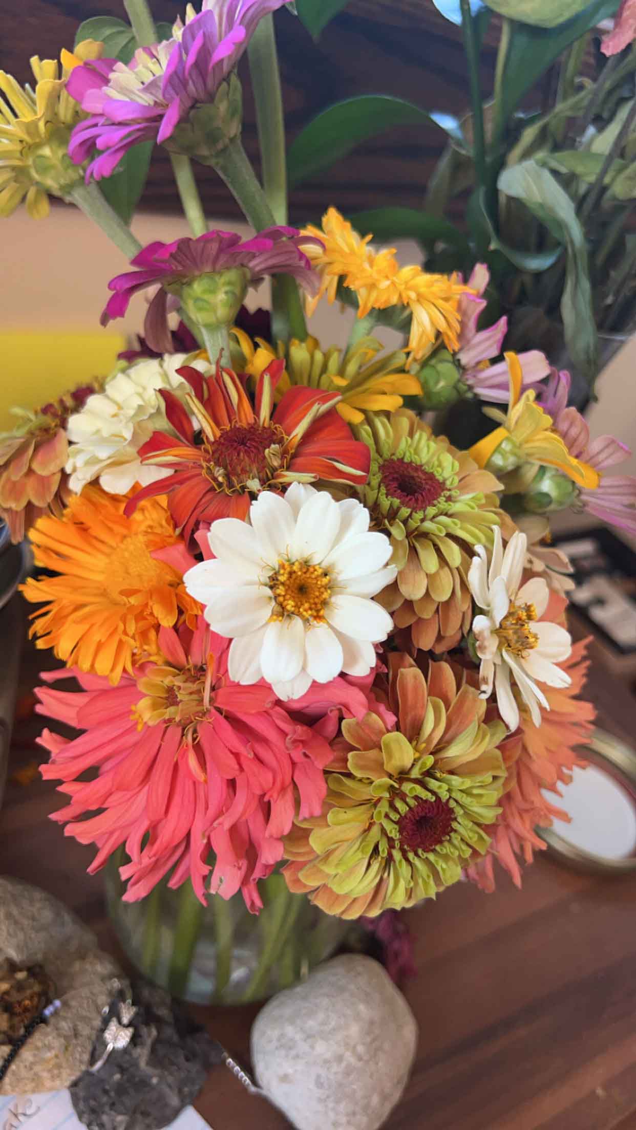Boquet of zinnias