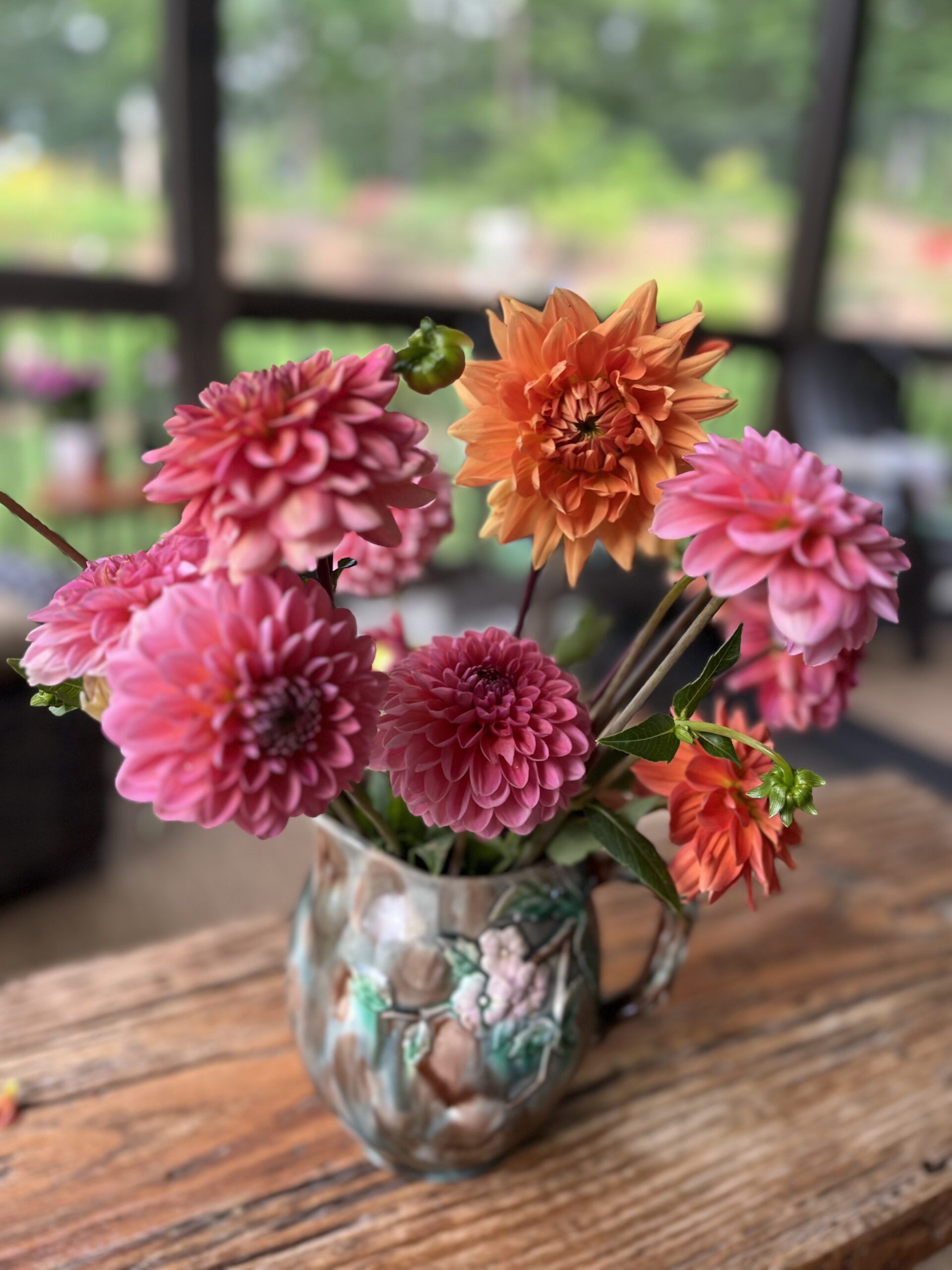 Our Dahlia’s near ATL