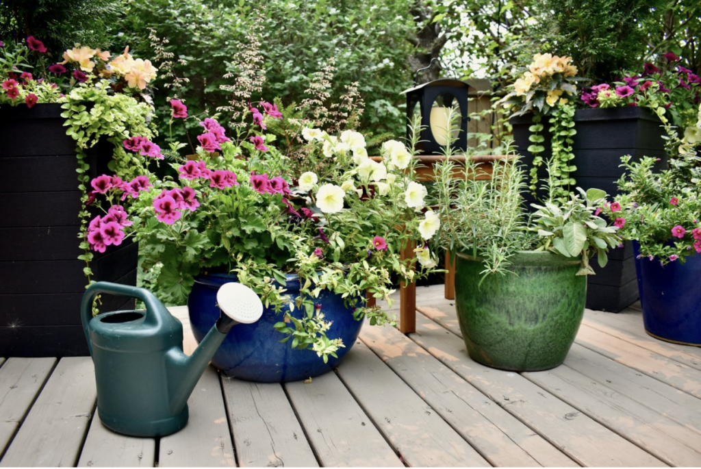 How to Create a Beautiful Container Garden on Your Deck Without the Mess -  Gardener's Toolkit - Eden Brothers