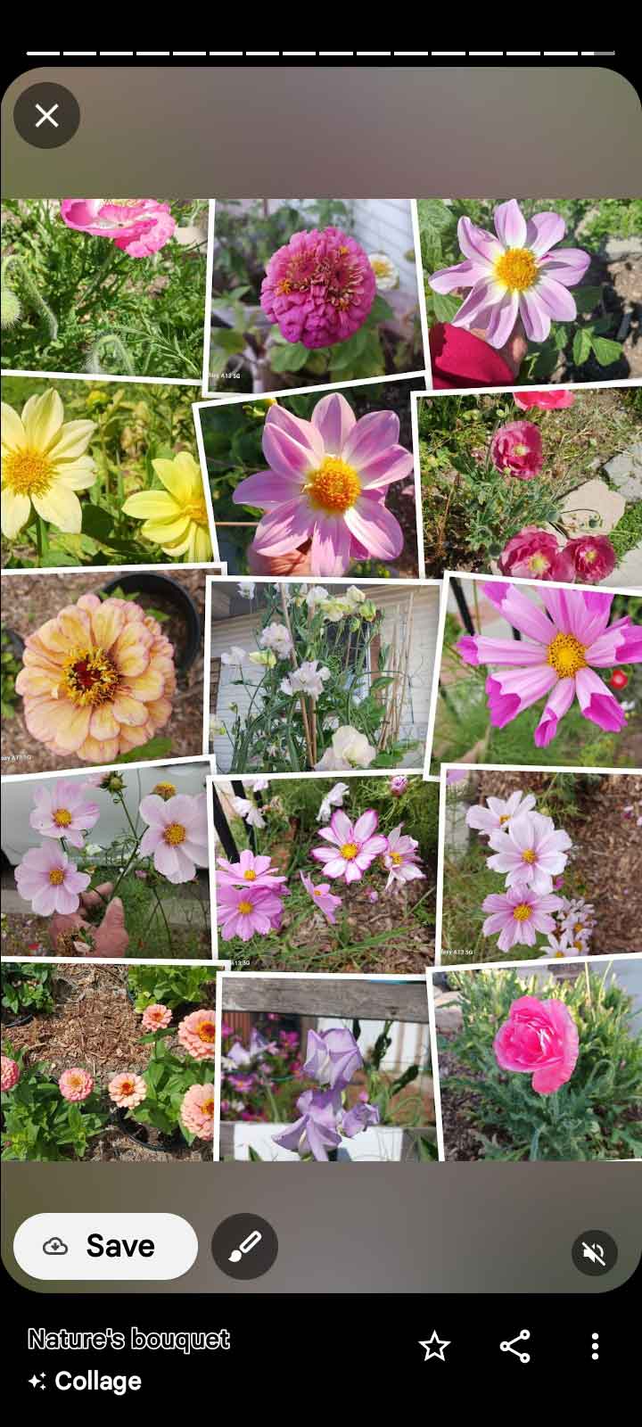 collage of flowers