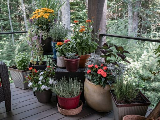 How to Create a Beautiful Container Garden on Your Deck Without the Mess