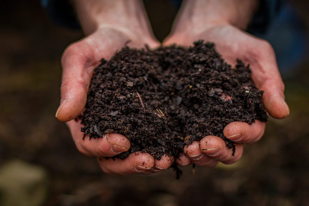 Two hands cupped together holding soil with a dark blurred background