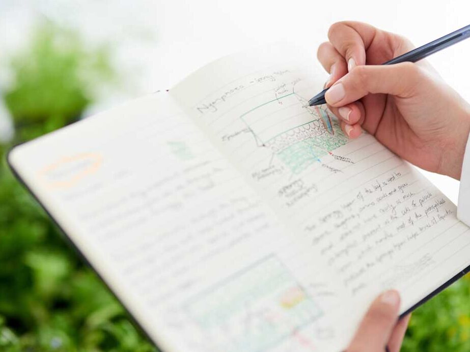A Simple Guide to Succession Planting