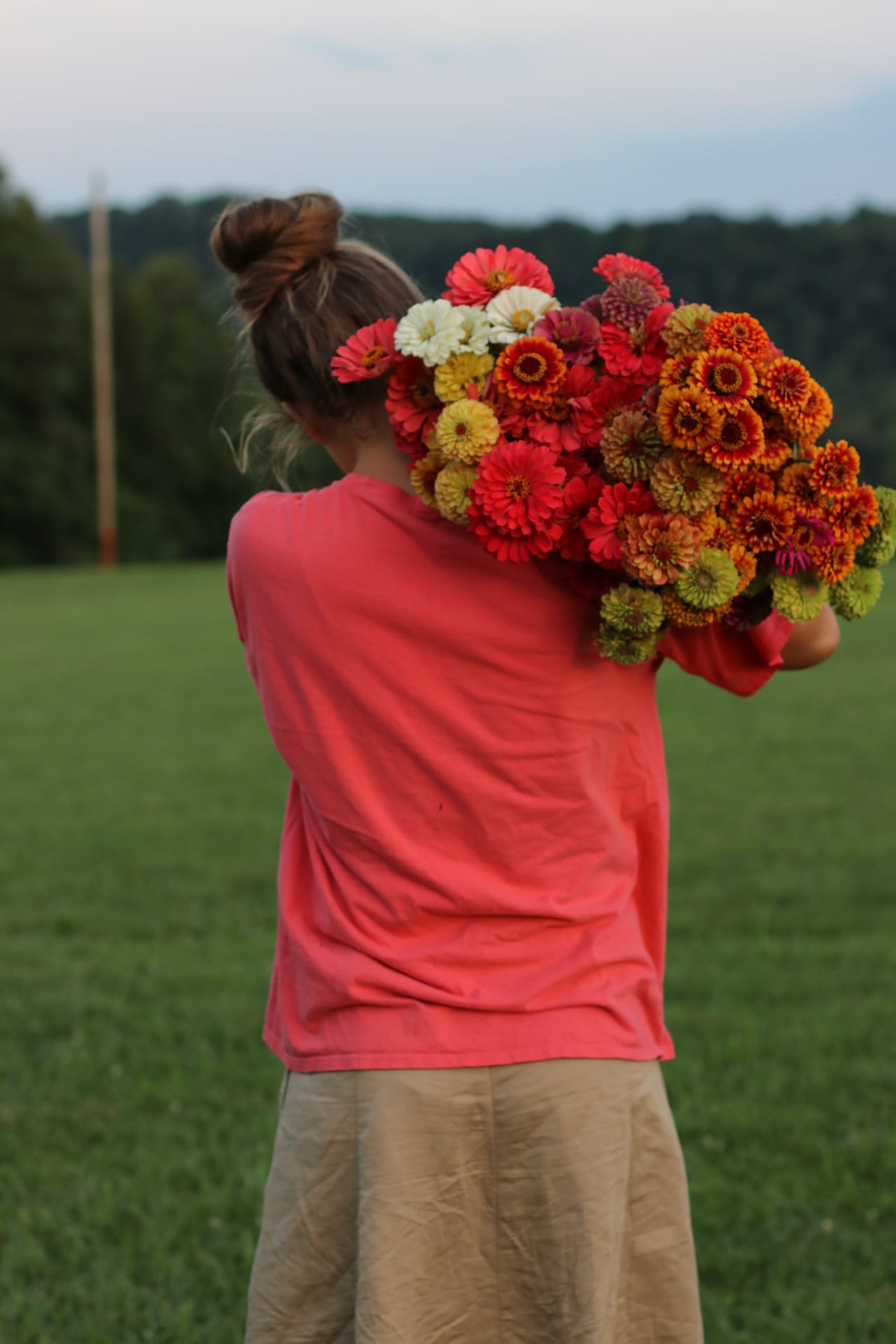 Zinnia harvest