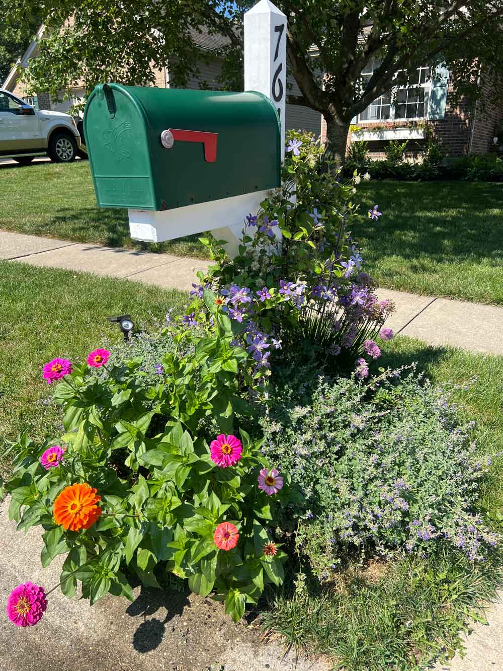 Mailbox Beauty