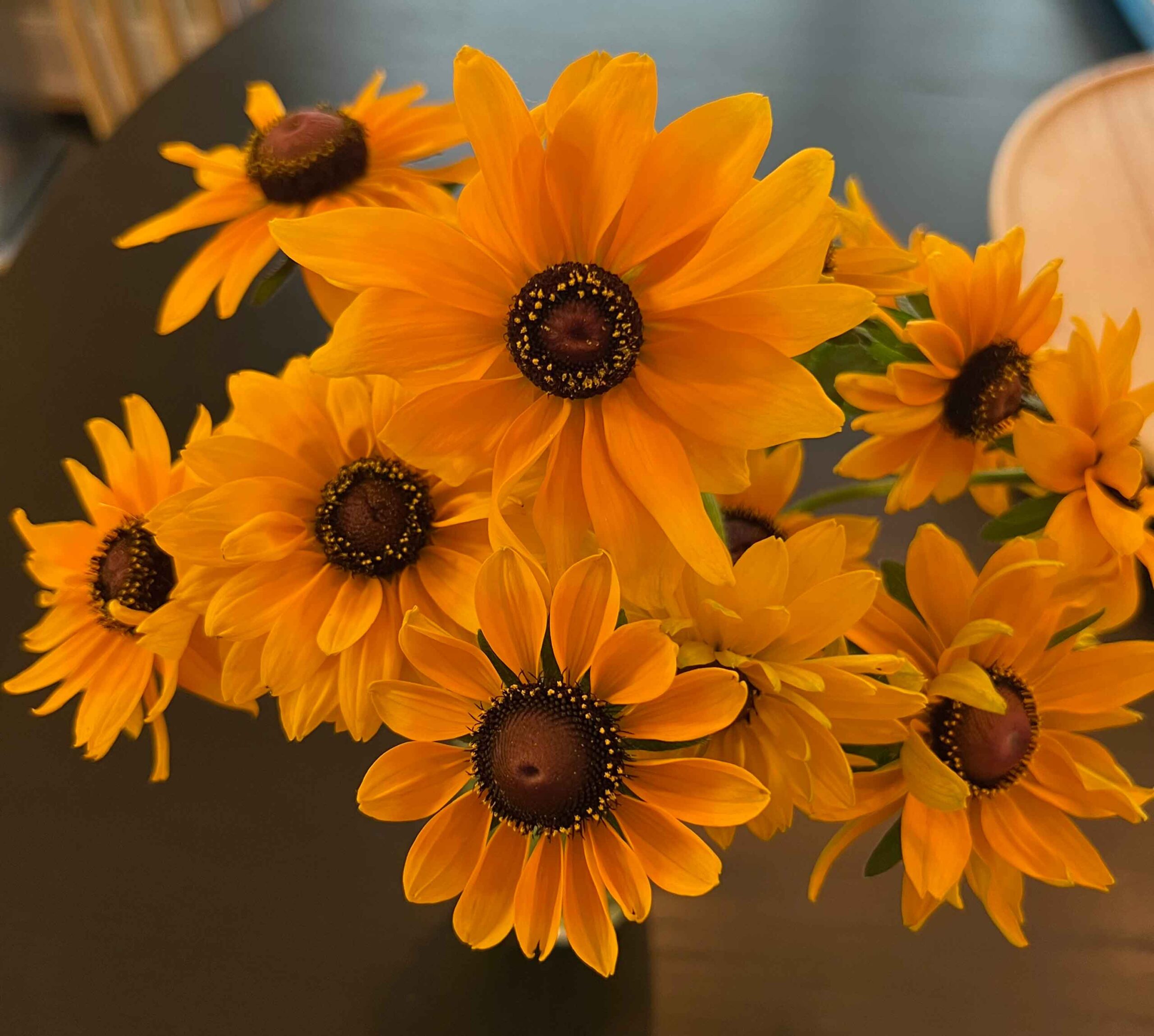 Double Golden Gloriosa