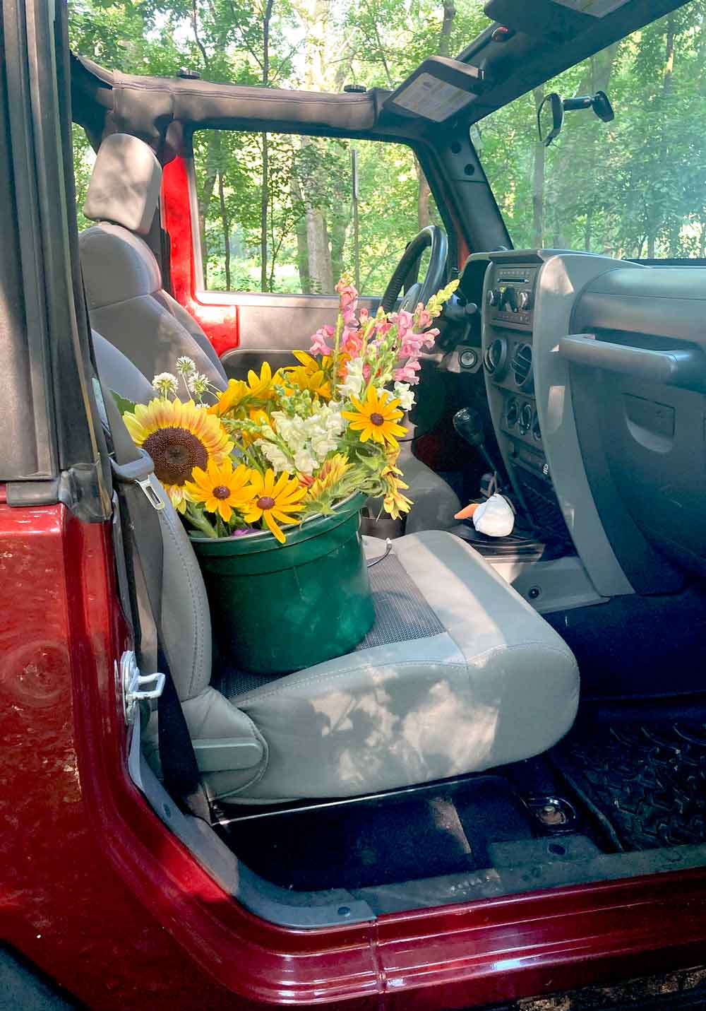 Ready for the Ride Home and a Vase