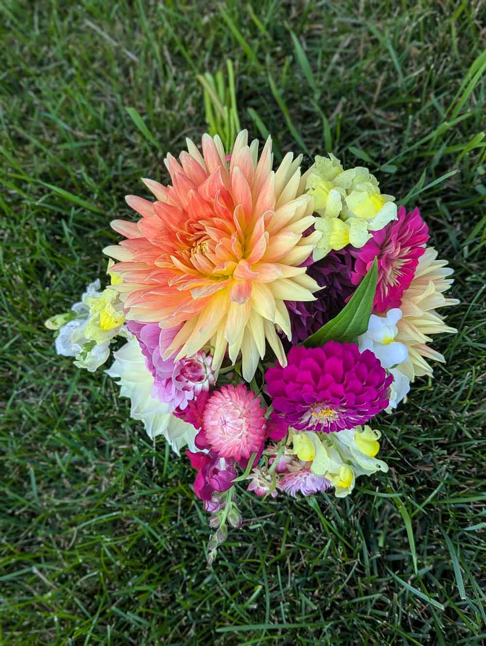 My Beautiful Bouquet