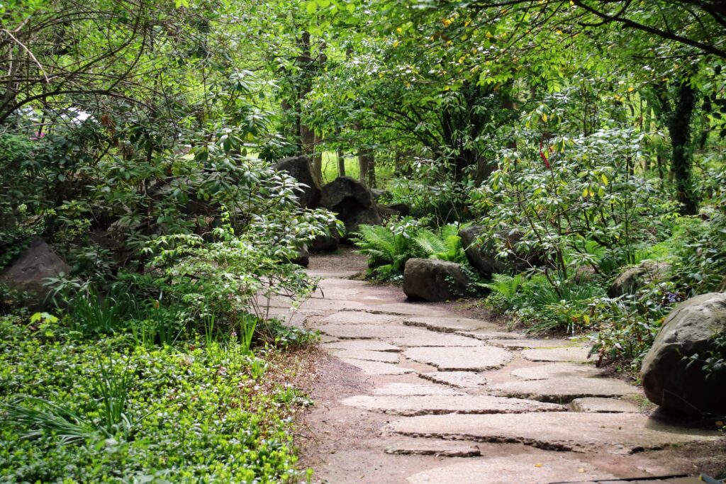 A curved stone walking path cutting through a lush green garden