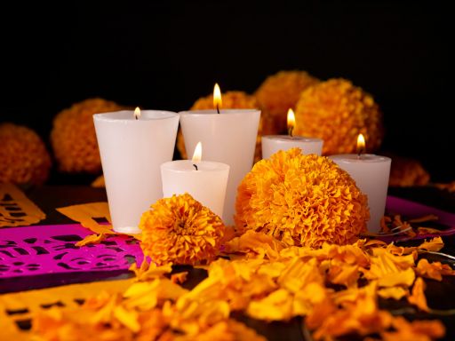 How Flowers Enhance Día de los Muertos Traditions