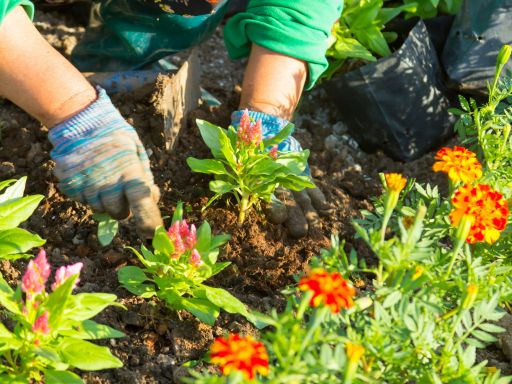 Gardening as Self-Care