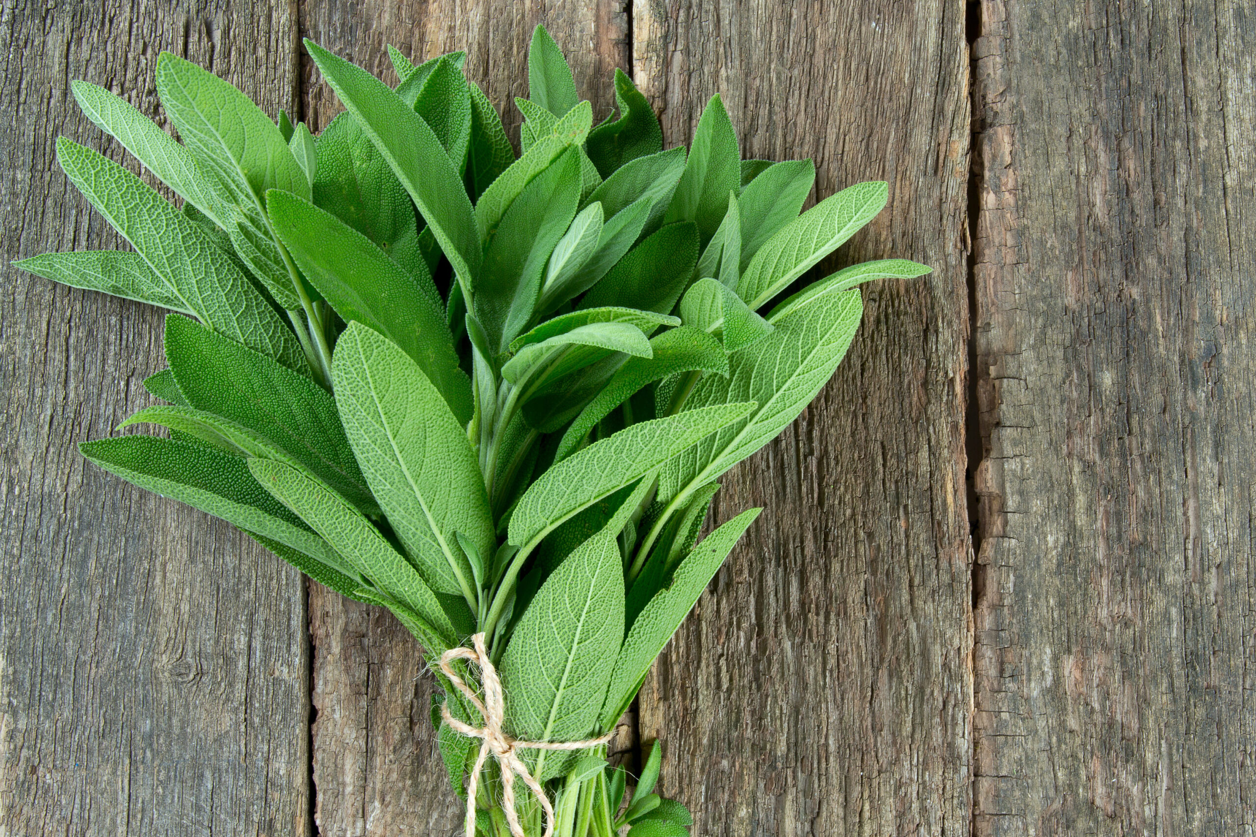 a bundle of cut sage tied together with twine and laying on a wooden surface