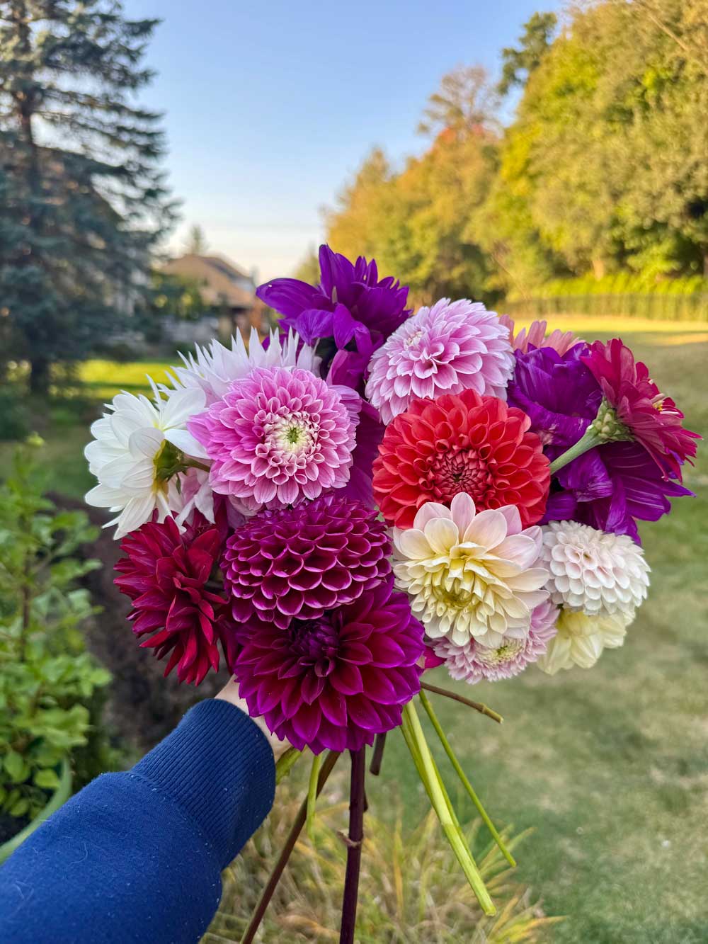Dahlia Bouquet!!