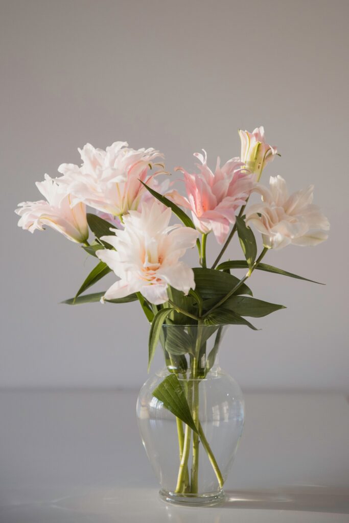 white and soft pink lilies in a clear vase with a blurred grey background