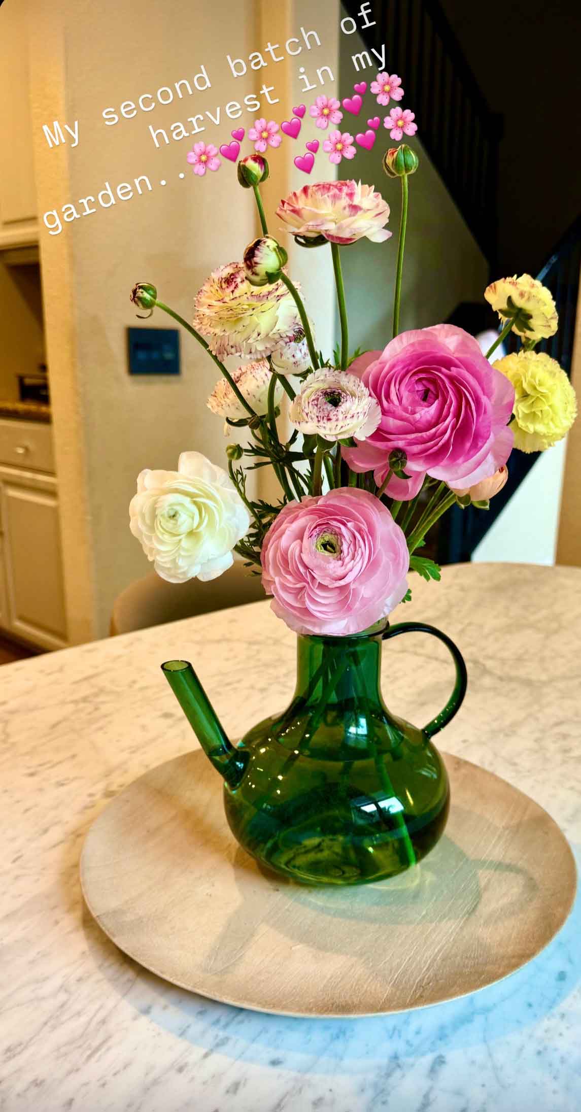 My ranunculus blooms