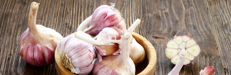 Garlic Bulbs