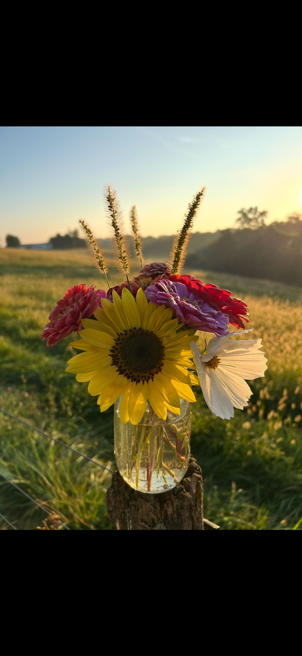 Endless bouquets all summer