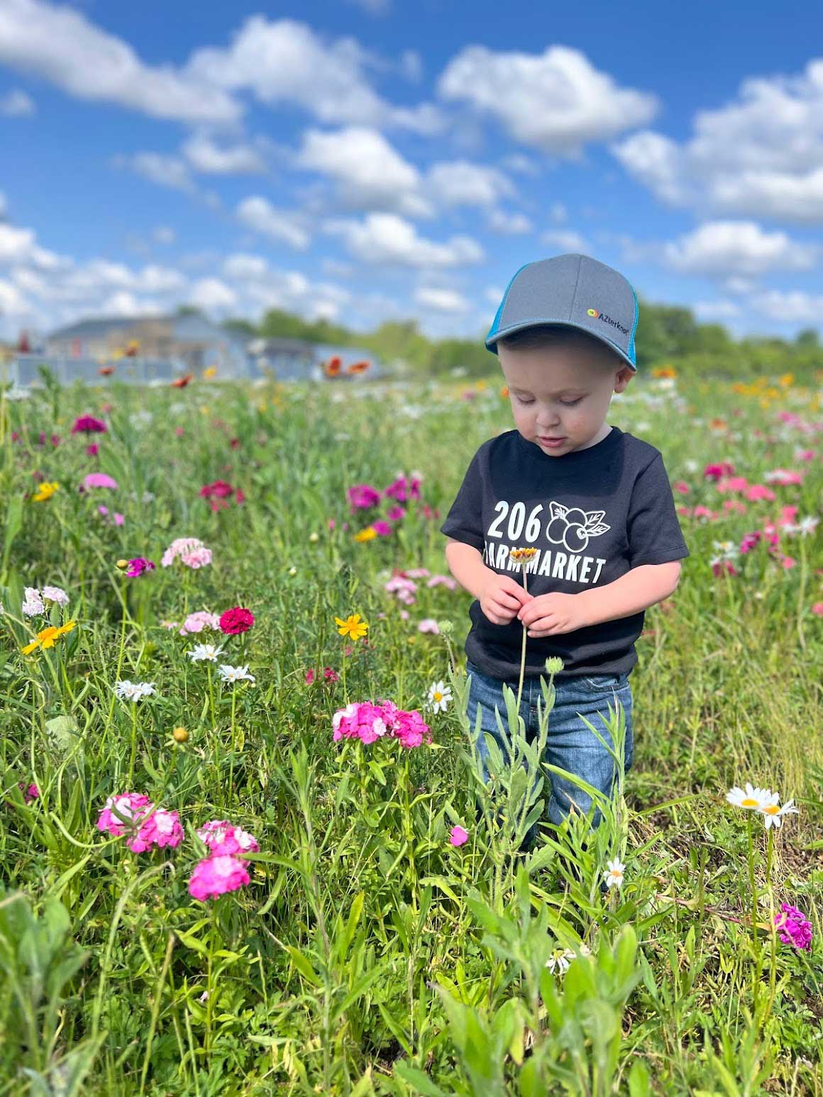 Wildflower Field By Eden