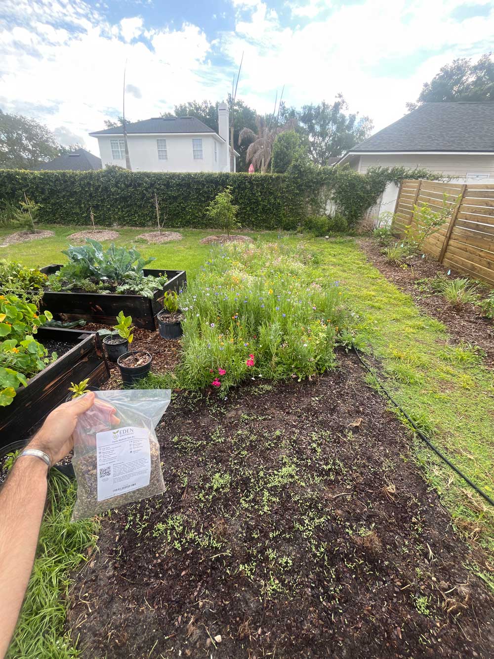 Wild Flower Spray and Pray