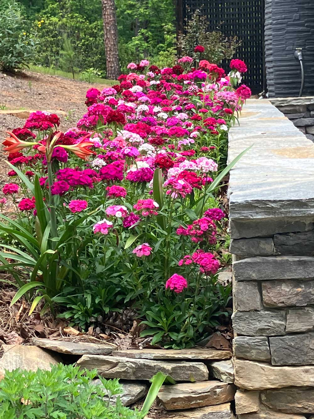 Splash of color