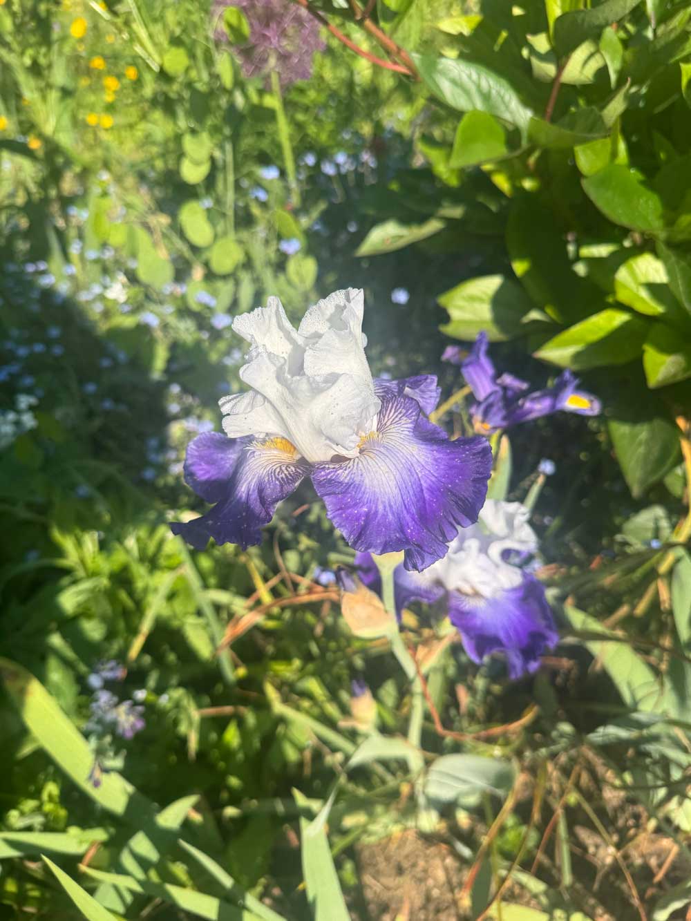 Summer has started