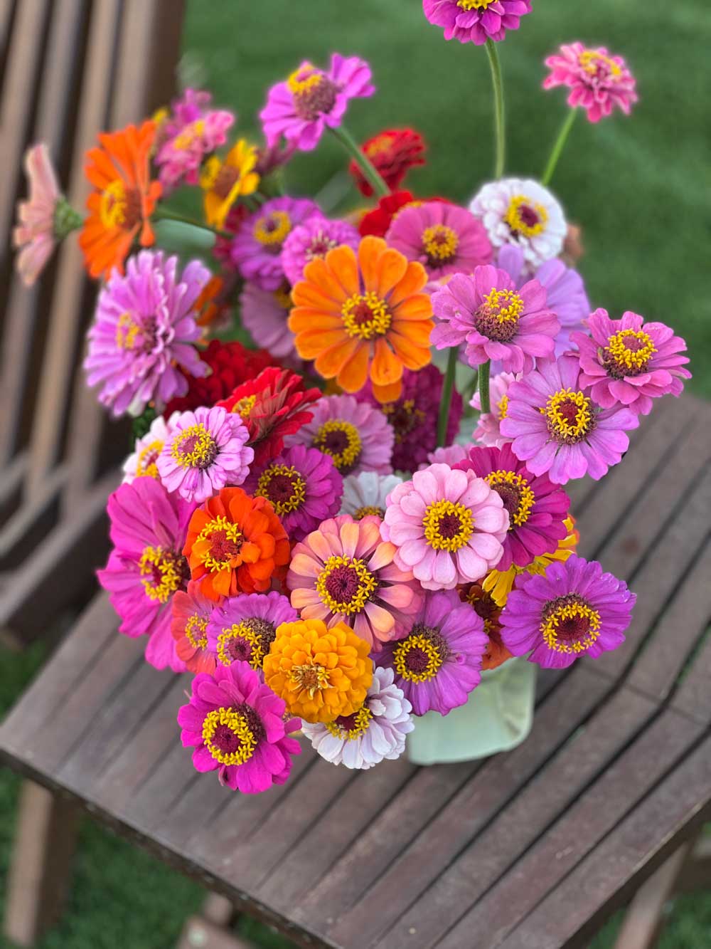 Blooms and Harvest