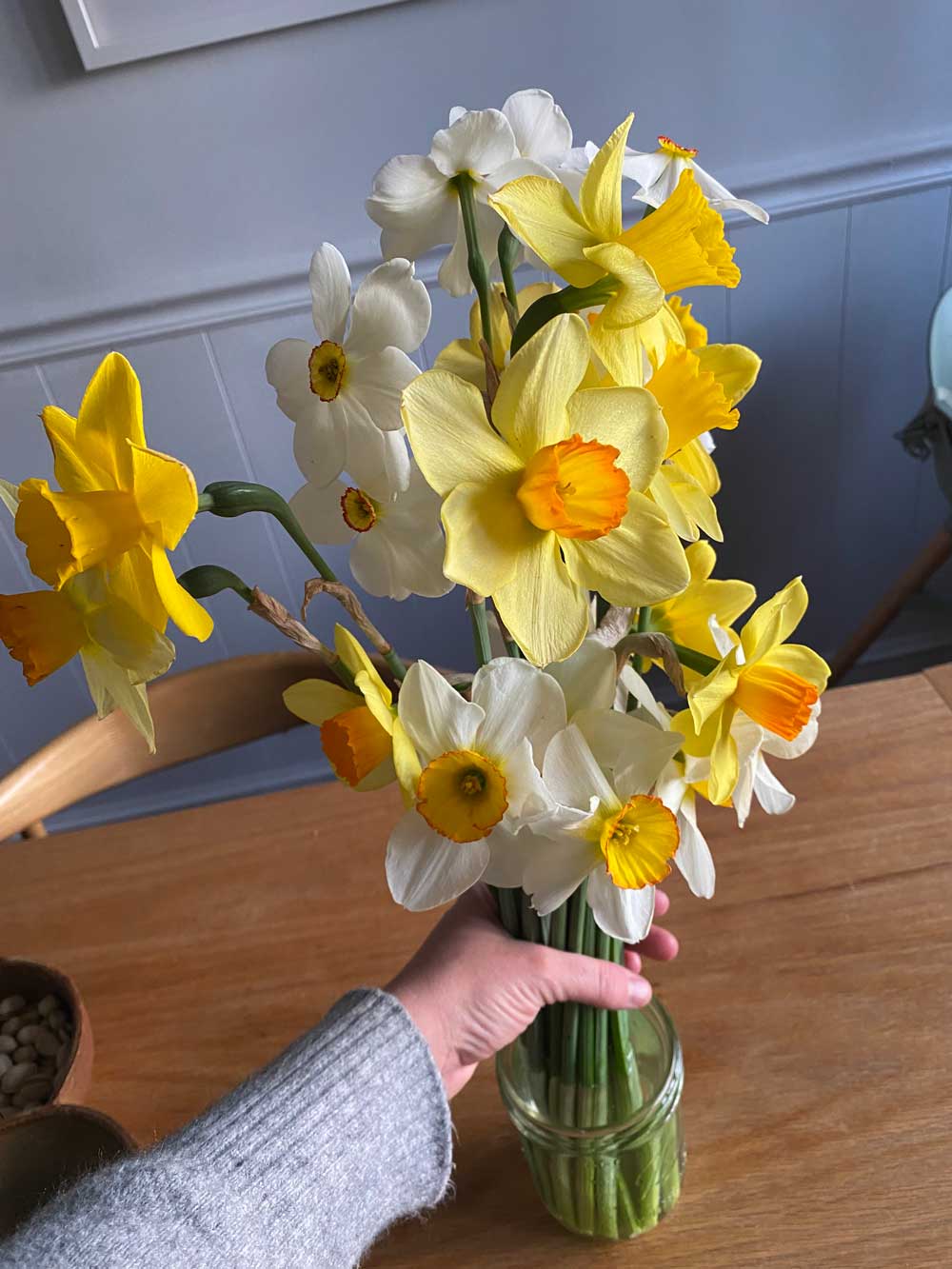 Daffodils