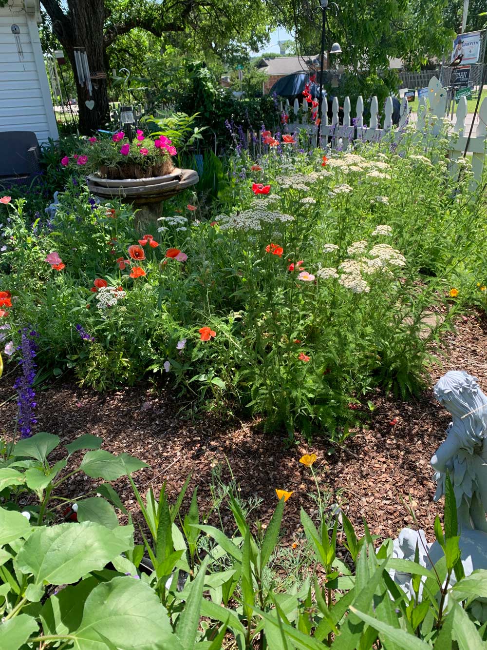 Laurie’s Butterfly Garden